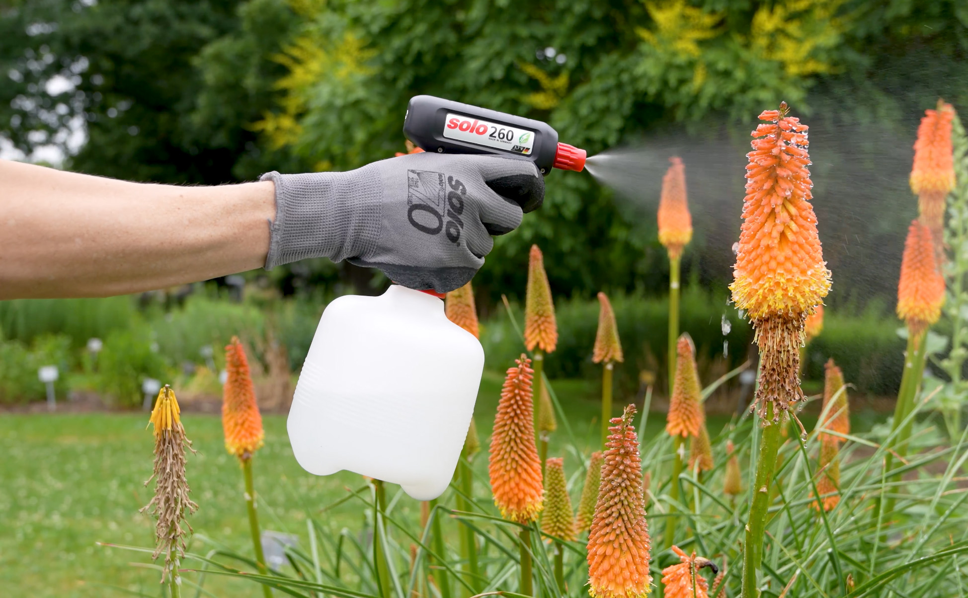 Welches SOLO-Sprühgerät passt zu dir? Handsprüher oder Akku-Sprüher im Vergleich
