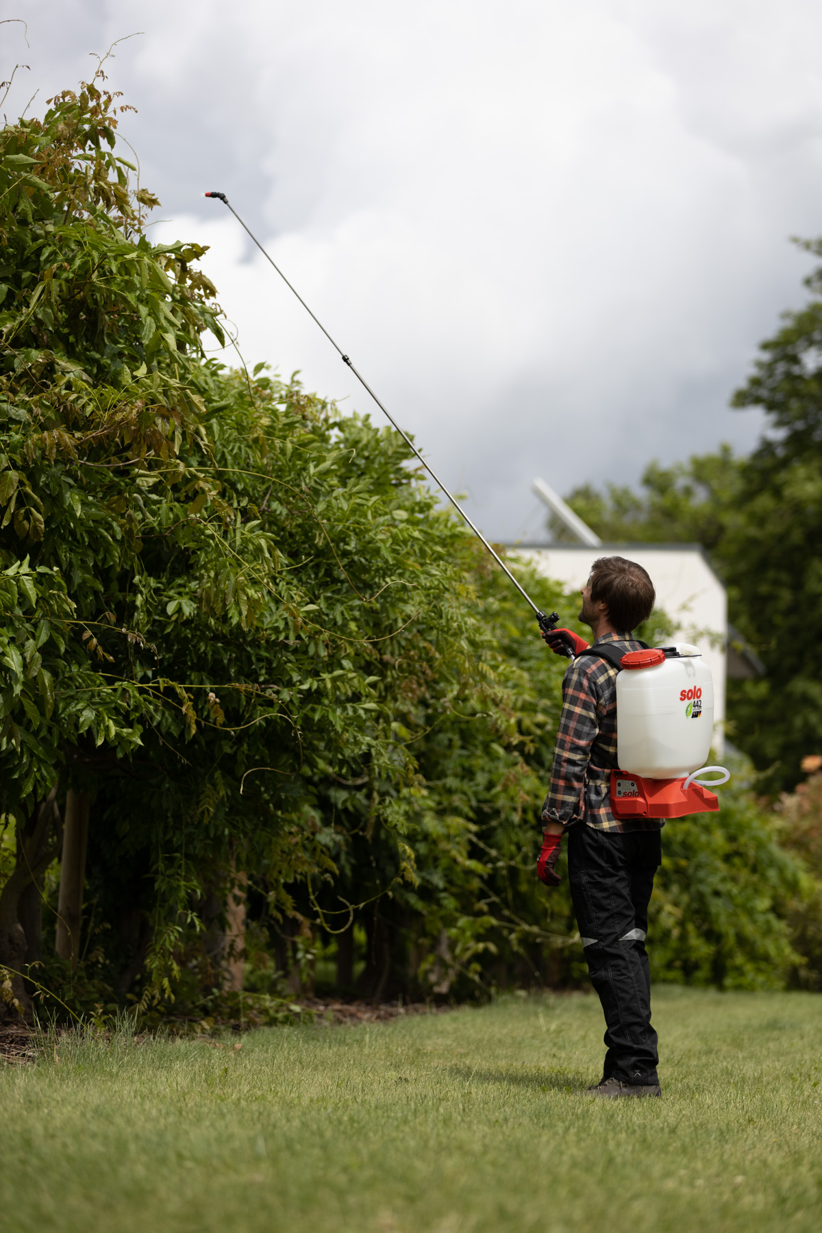 Anwendung der SOLO 442 Rückenspritze bei der Baum- und Strauchpflege Mann mit SOLO 442 Rückenspritze behandelt mit einer Teleskopspritze hohe Sträucher und Bäume im Außenbereich.