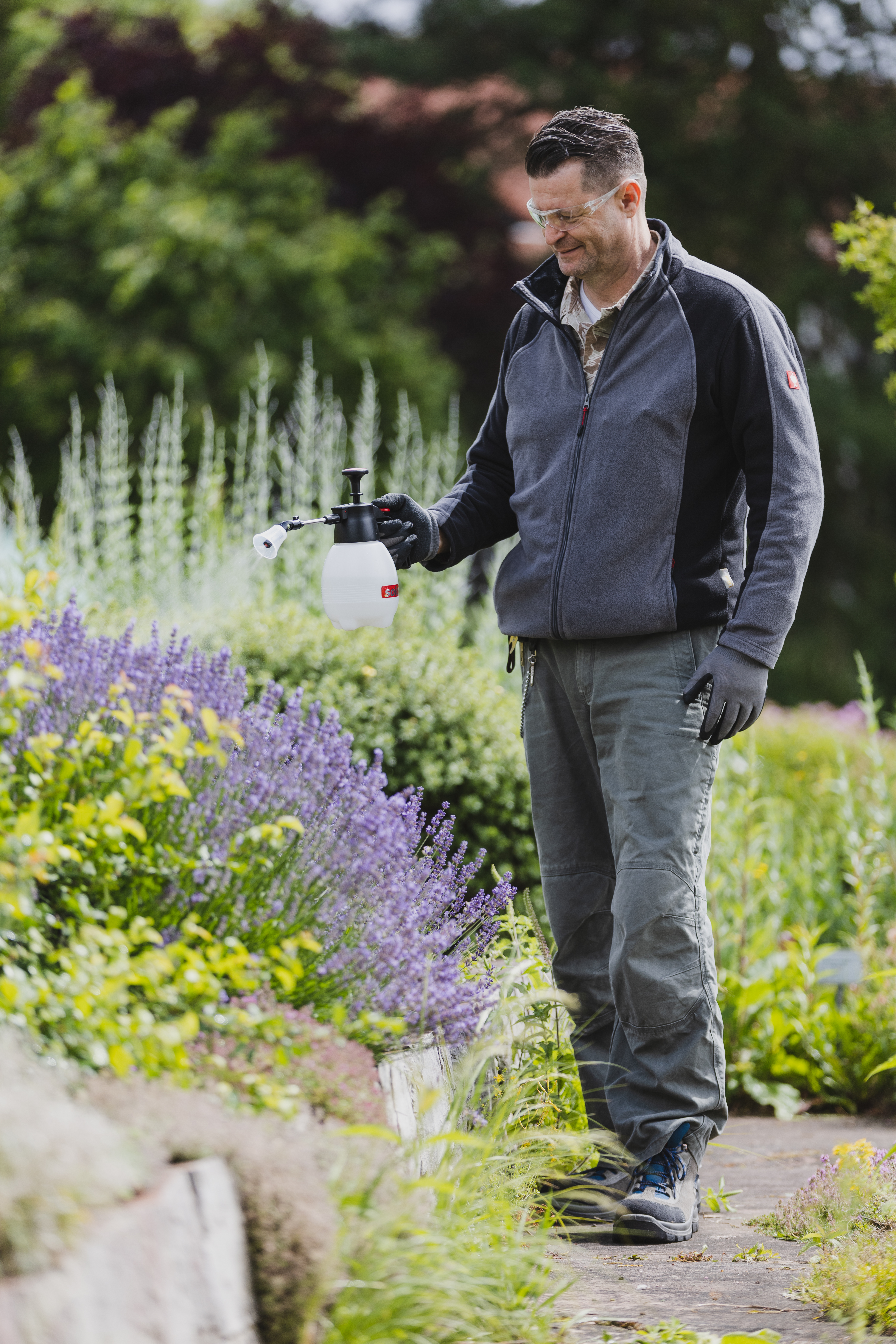 Gärtner mit SOLO Handsprüher beim Besprühen von Lavendel im Garten Mann mit Schutzbrille und SOLO Handsprüher besprüht blühenden Lavendel in einem gepflegten Garten.