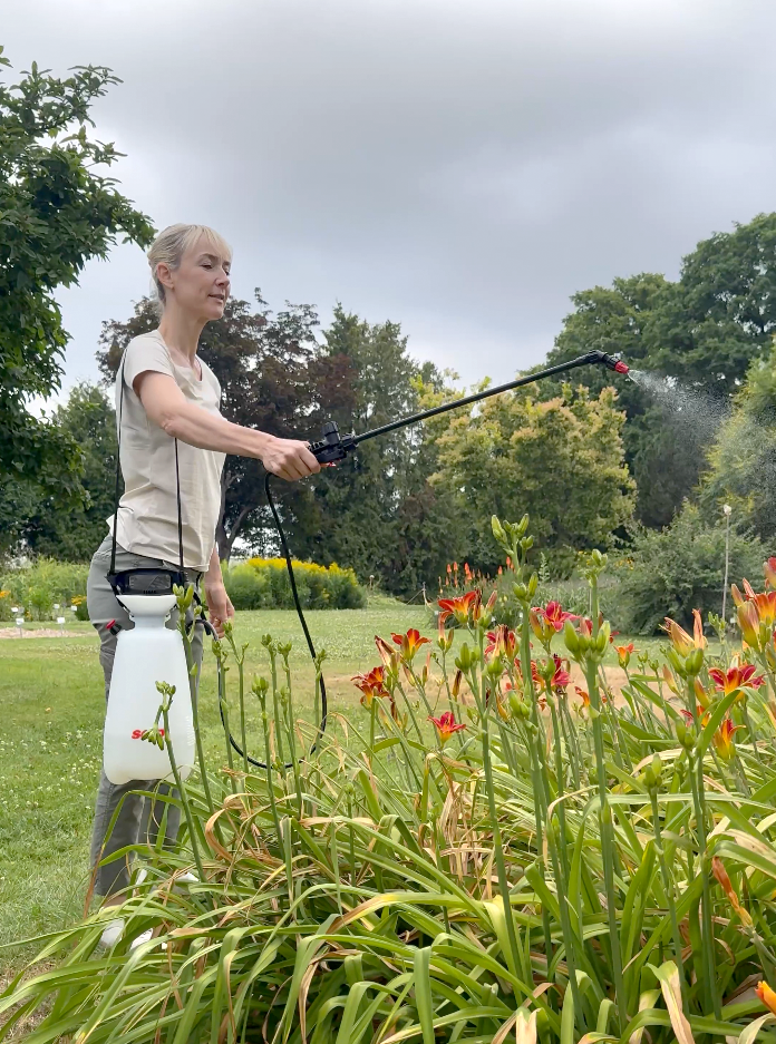 Anwendung des SOLO 212 Sprühers an Taglilien im Garten Frau mit SOLO 212 Sprüher besprüht rote Taglilien im Garten mit Pflanzenschutzmittel.