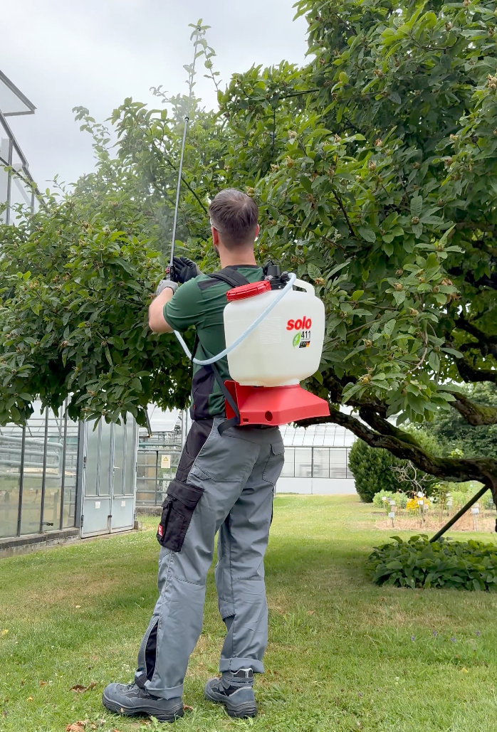 Anwendung der SOLO 411 Rückenspritze zur Behandlung von Obstbäumen Mann mit SOLO 411 Rückenspritze sprüht Pflanzenschutzmittel in die Baumkrone eines Obstbaums neben einem Gewächshaus.