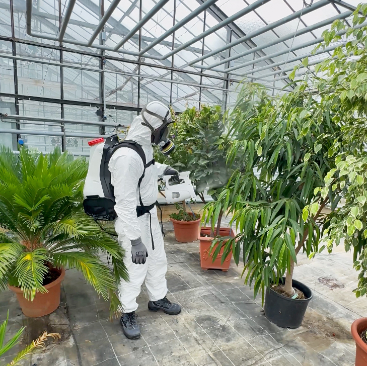Effizienter Pflanzenschutz mit dem eFog 480 im professionellen Gewächshausbetrieb Anwender mit eFog 480 Kaltnebelgerät bei der Behandlung von Pflanzen im Gewächshaus